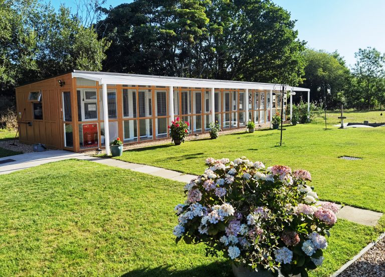 Small cattery sales